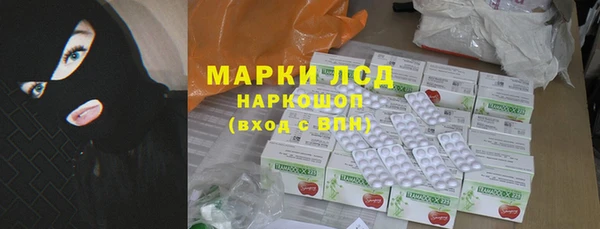 spice Богородск