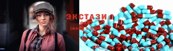 spice Богородск