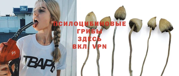 амфетамин Богданович