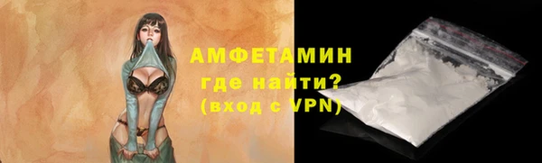 spice Богородск